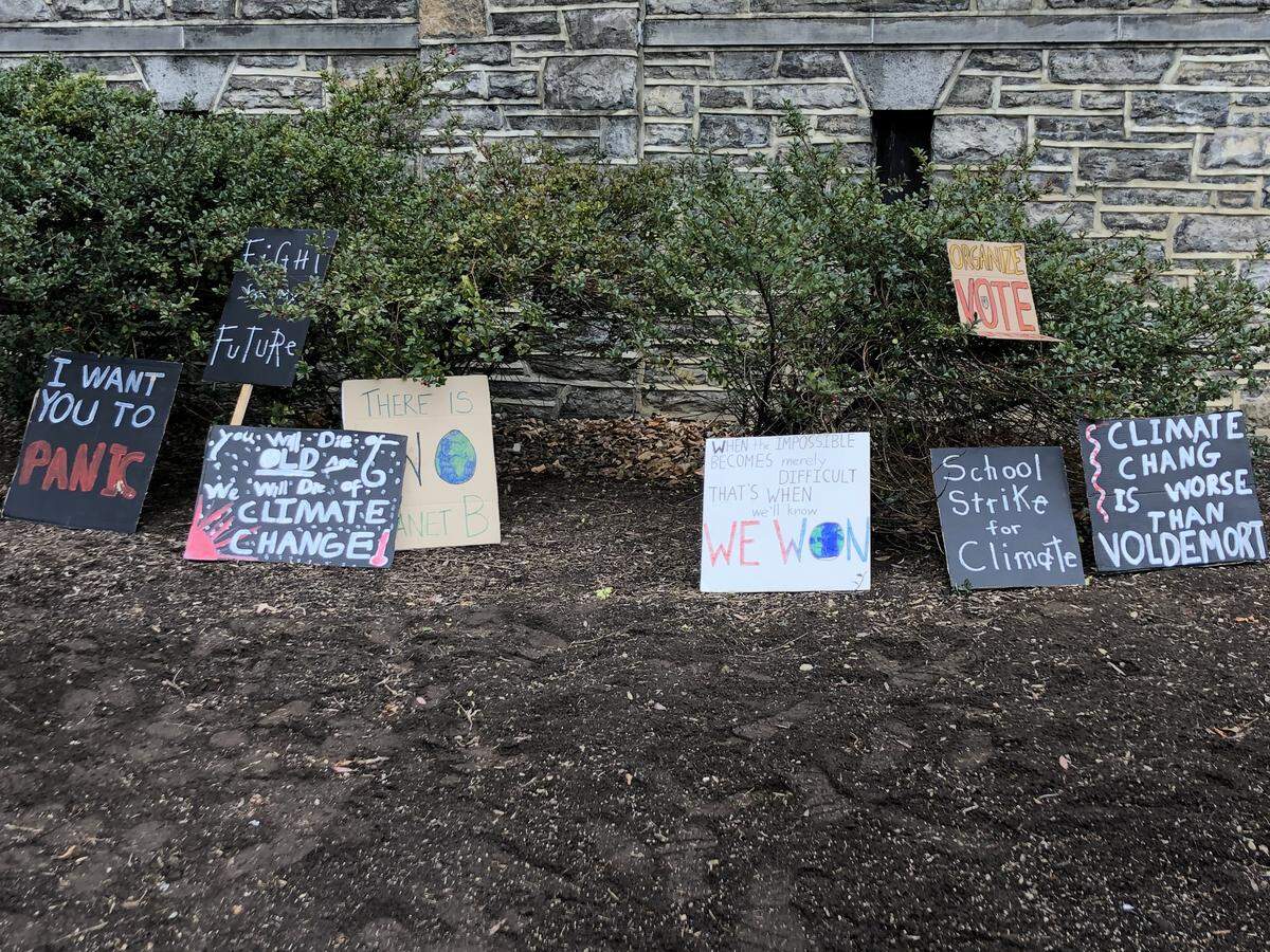 Centre County residents participated in a climate strike in downtown State College on Friday.