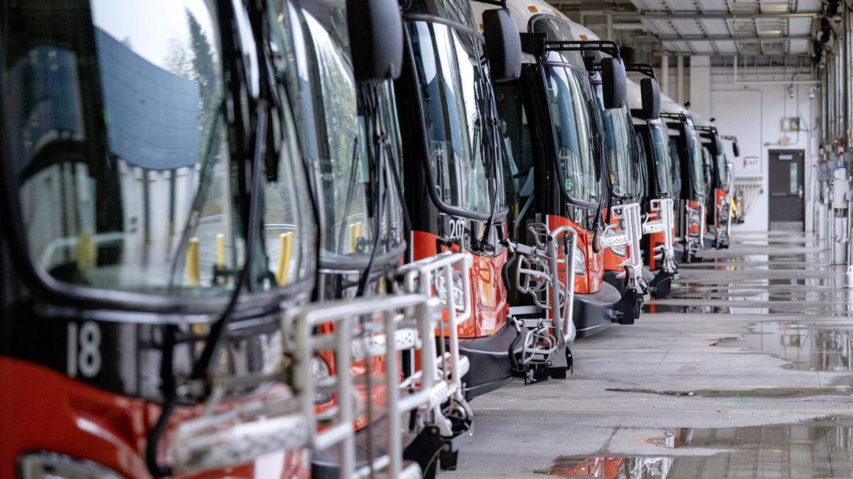 A fleet of CATA buses is pictured on Thursday, Sept. 25, 2025.