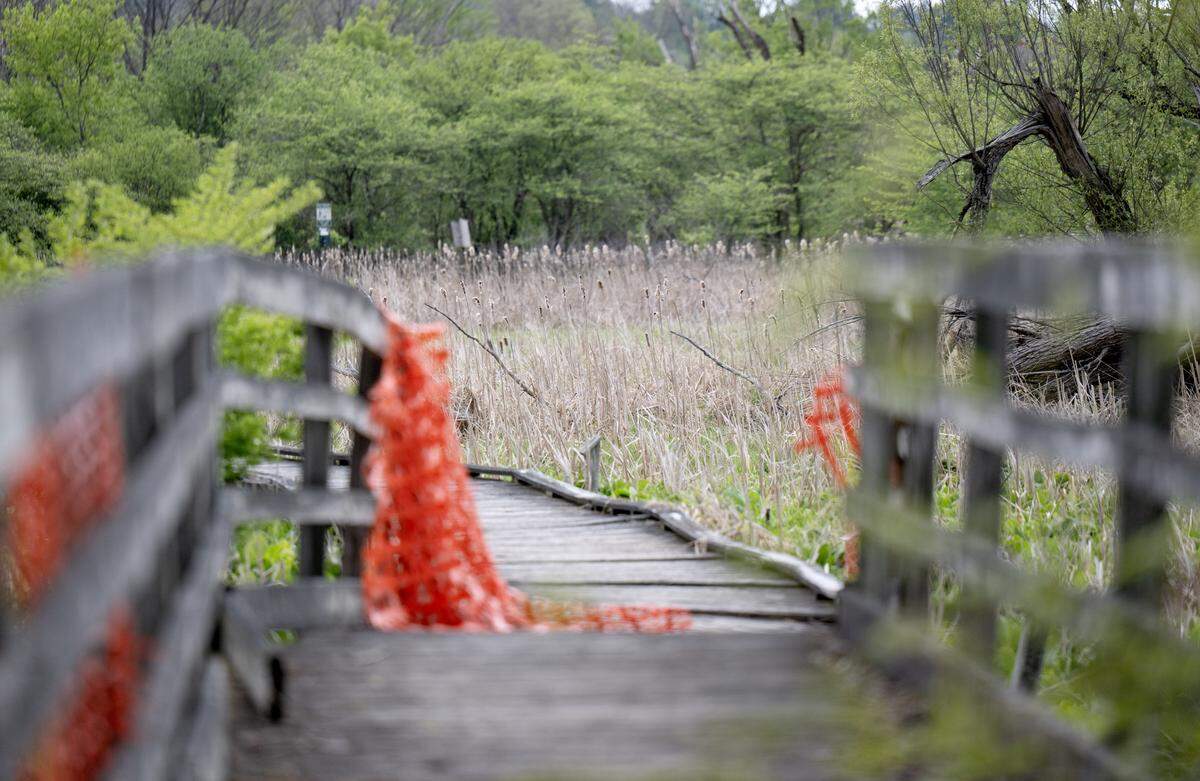 The boardwalk that led to a bird viewing area at Millbrook Marsh has been closed for several years due to safety concerns. 
