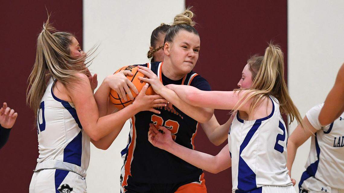 ‘So proud of this group.’ St. Joseph’s girls basketball ends historic season at PIAAs