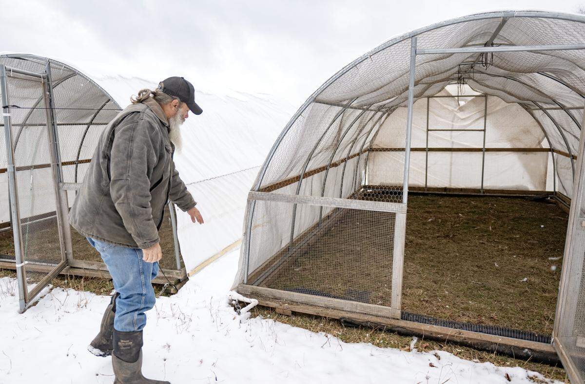 Greg Stuber shows some the movable structures for the animals at Pole Cat Hollow Farm that move on Thursday, Dec. 4, 2025. The structures allow protection from predators but can be moved so there is always fresh grass.  