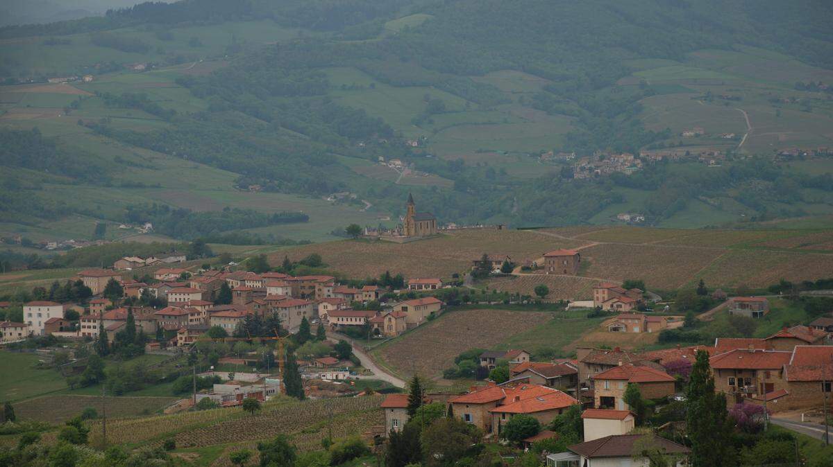 The entire Beaujolais region in France grows the Gamay grape, but where the vineyard is located determines the quality of the wine.