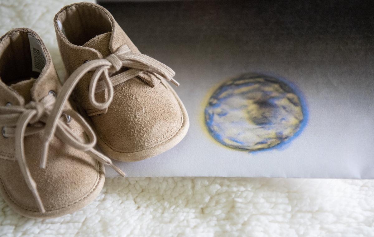 A photo of the embryo at five days old in the lab before the transfer.