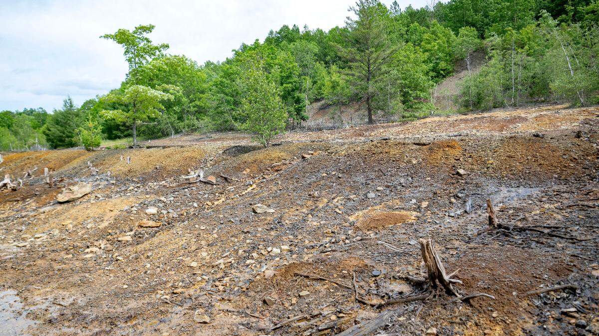 Land along Coaldale Road in Rush Township is pictured on Tuesday, June 25, 2024.  