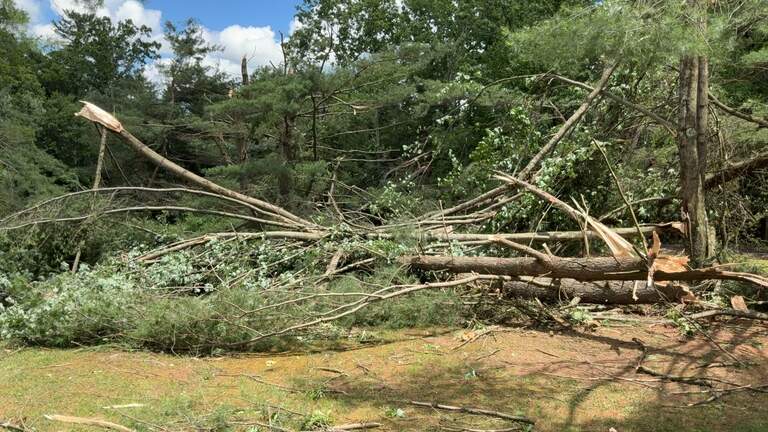 Tornado with 116 mph winds touched down in Centre County over weekend, NWS confirms