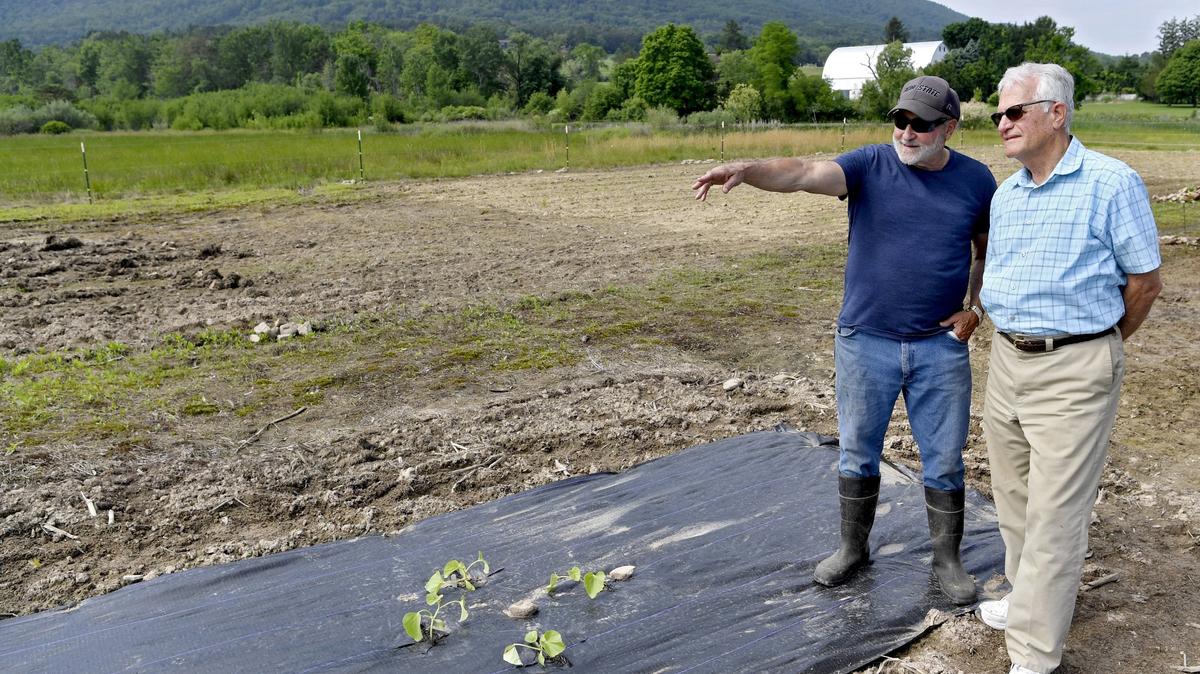 Ken Lipson and Bill Zimmer of the “Think We, Not Me” community food growing program discuss produce on Lipson’s land in June 2019. The program has distributed more than 15,000 pounds of produce to area food banks and other organizations.