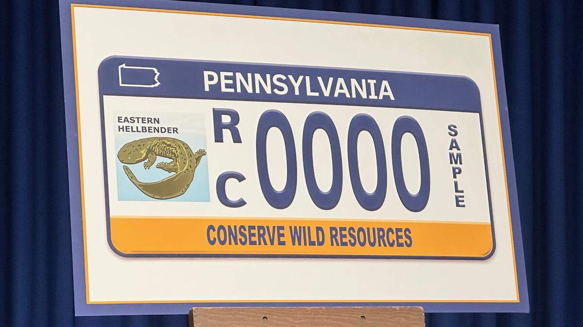 The new PennDOT-issued license plate features Pennsylvania’s state amphibian.