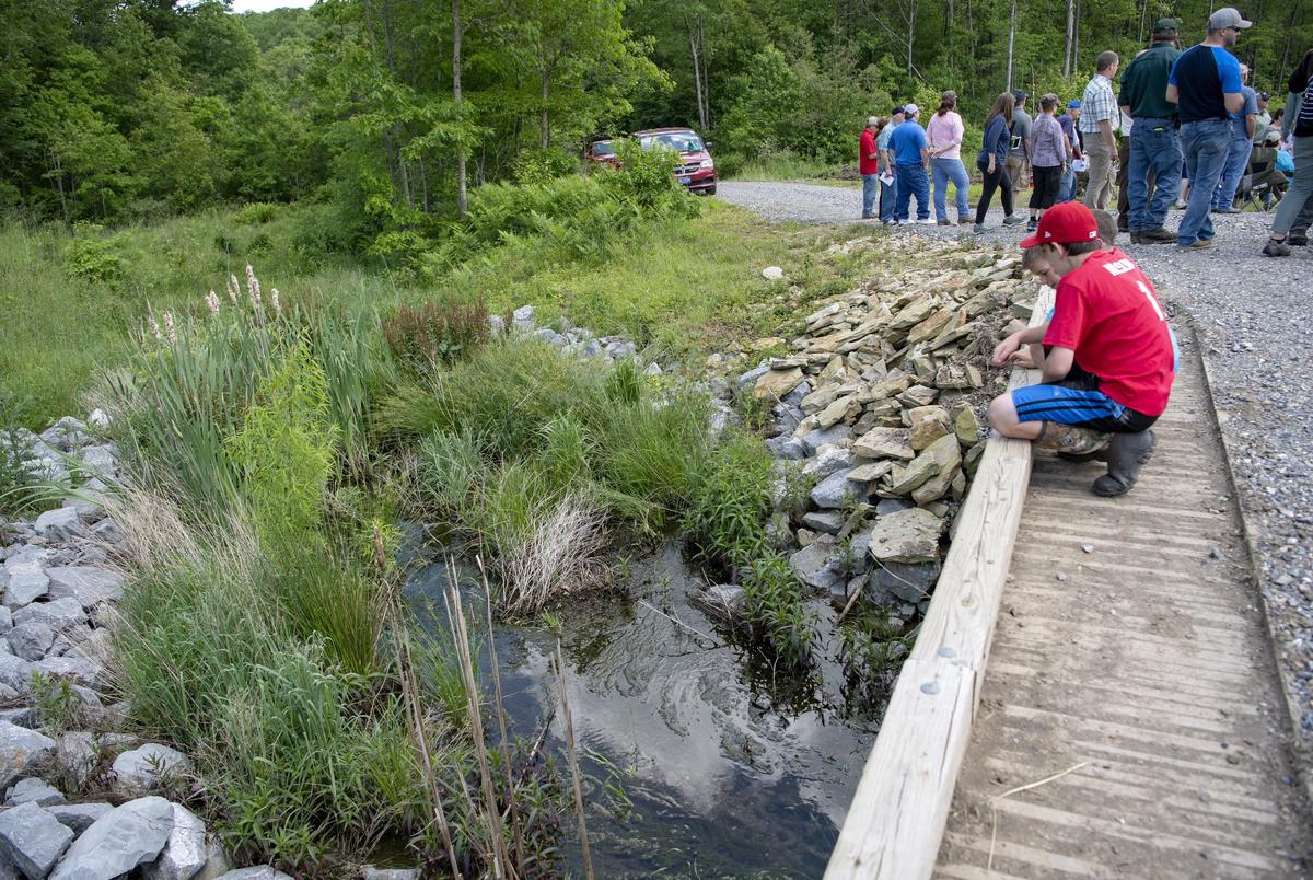 Several youngsters look at the water flowing from a limestone channel to a settling basin during a ceremony for the Contrary Run reclamation and AMD Treatment system on State Game Lands 100 on Thursday, June 6, 2019.
