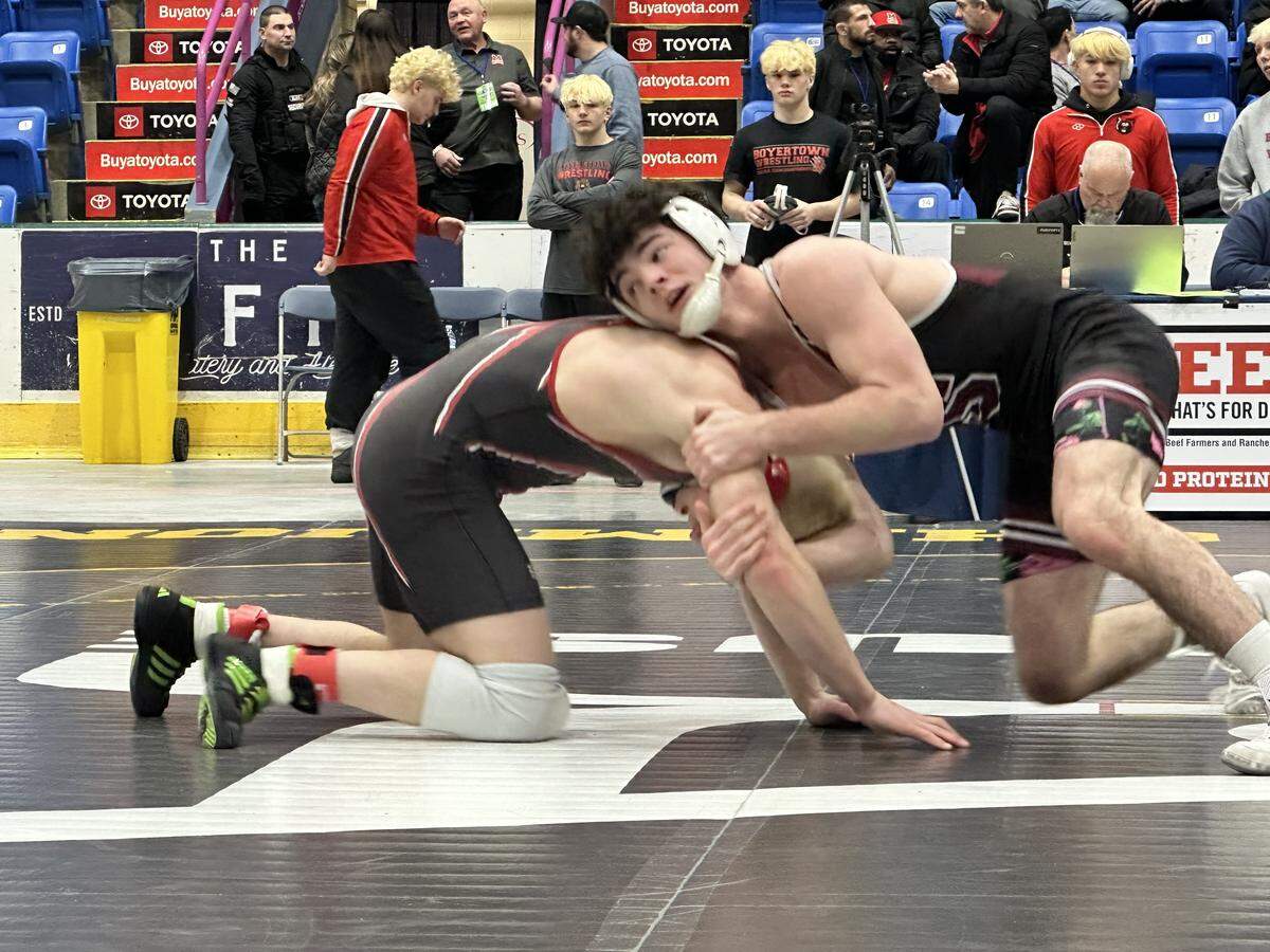 State College’s James Whitbred looks to finish off a takedown of Boyertown’s Carter Stouch in their 152-pound bout on Saturday, Feb. 7, 2026 in 1st Summit Arena in Johnstown at the consolation quarterfinals of the PIAA Class 3A Team Wrestling Championships. Whitbred collected a 19-4 technical fall in 3:30, but the Little Lions lost overall 29-27.