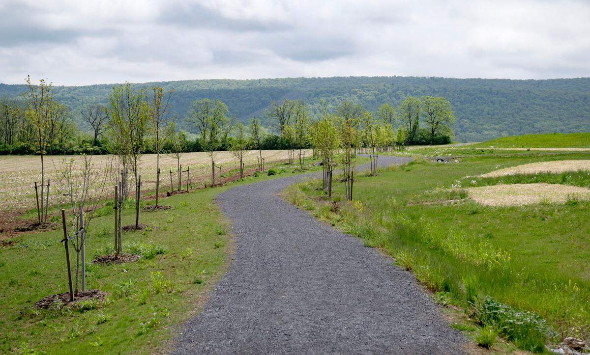 A portion of the trial that boarders the Whitehall Road Regional Park and continues to Musser Gap.