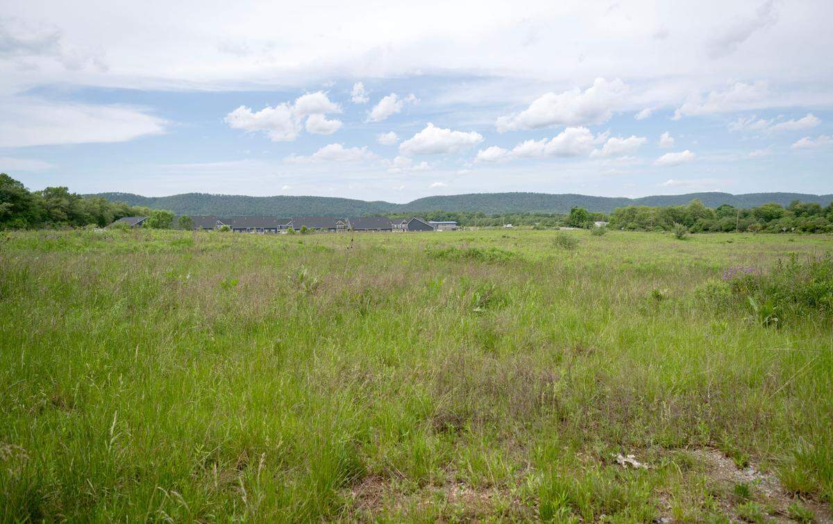 Land along Fox Hill Road and Bernel Road on Thursday, May 23, 2024.
