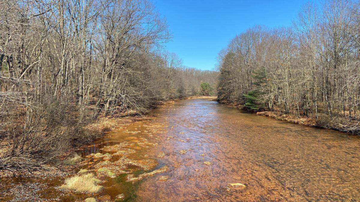 A stream along Coaldale Road in Rush Township, Centre County, runs orange from acid mine drainage.