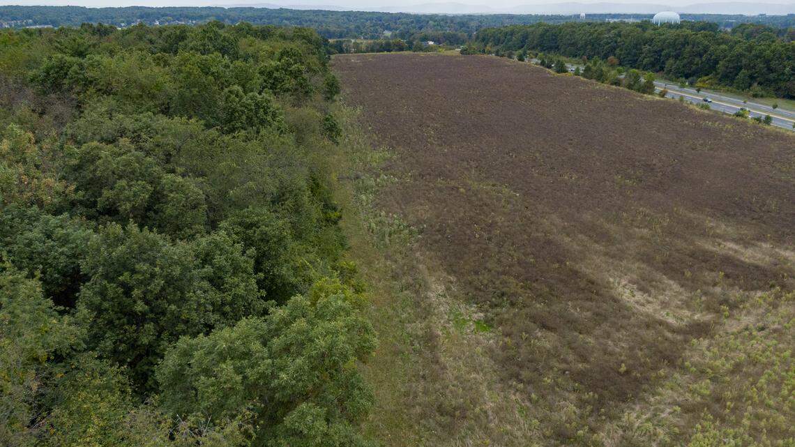 Nittany Valley Environmental Coalition takes legal action to protect forest from development