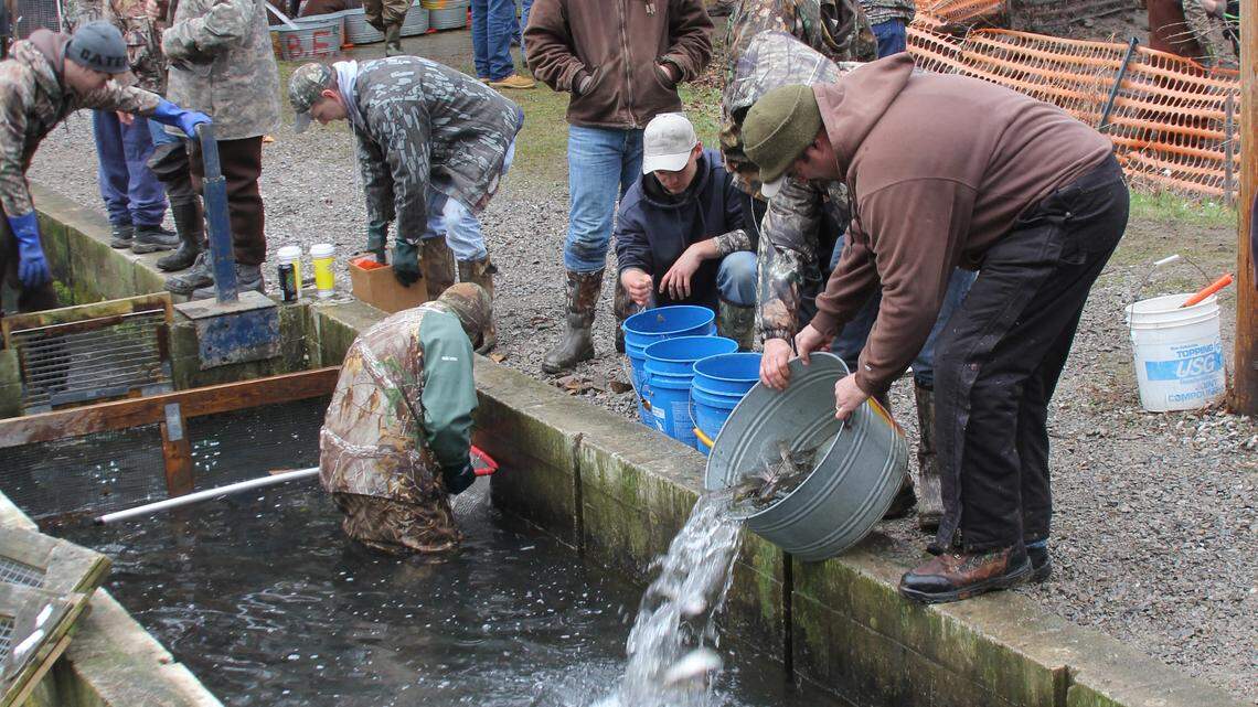 Trout stocking, birding events to soon be underway — with several local opportunities