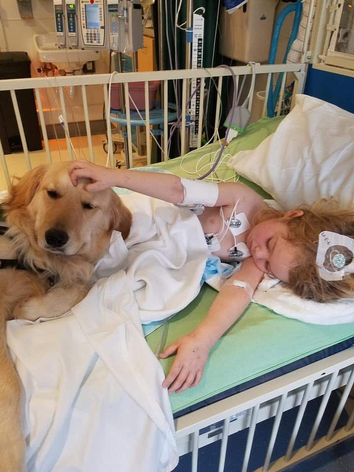 Kennedy gets a visit from therapy dog Becky while in the hospital in early April 2019.