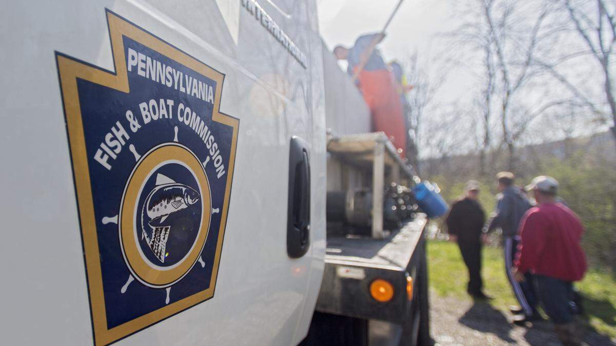 The Pennsylvania Fish and Boat Commission stocks rainbow trout and golden rainbow trout along the Bald Eagle Creek in this 2017 file photo.
