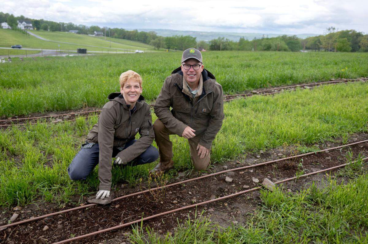 Lisa and Pat Powers along one of the rows of blueberry bushes they have planted at their new farm off of Route 322 in Philipsburg on Friday, May 23, 2025. Berries and Twig Farm will be a pick-your-own blueberry location that hopes to open in the summer of 2027.