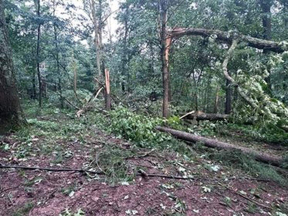 A microburst caused damage in Milesburg on Saturday. Trees are shown on Johnson Hill Road.