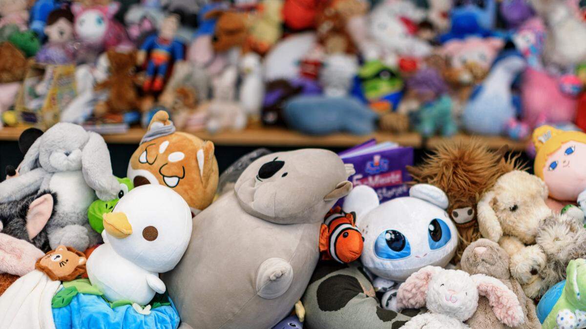 A Pennsylvania lawmaker is looking to loosen a regulation on stuffed toys sold in the state.