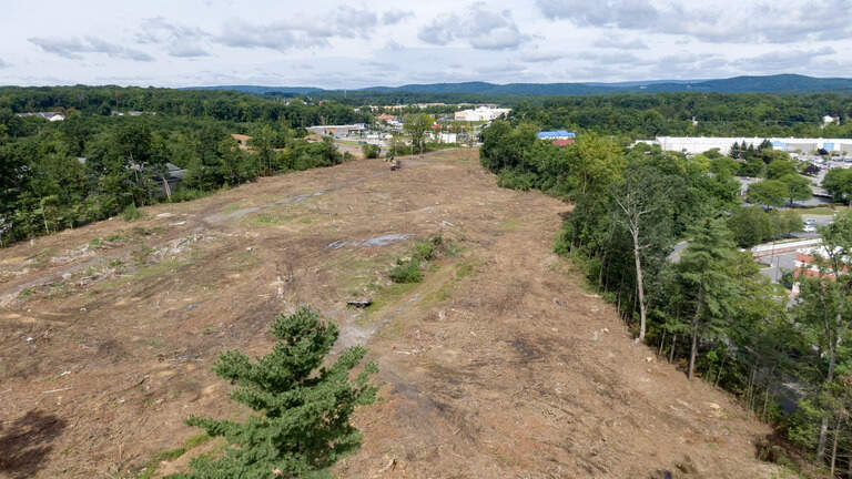 Local environmental coalition ‘troubled’ at latest Centre Region tree clearing