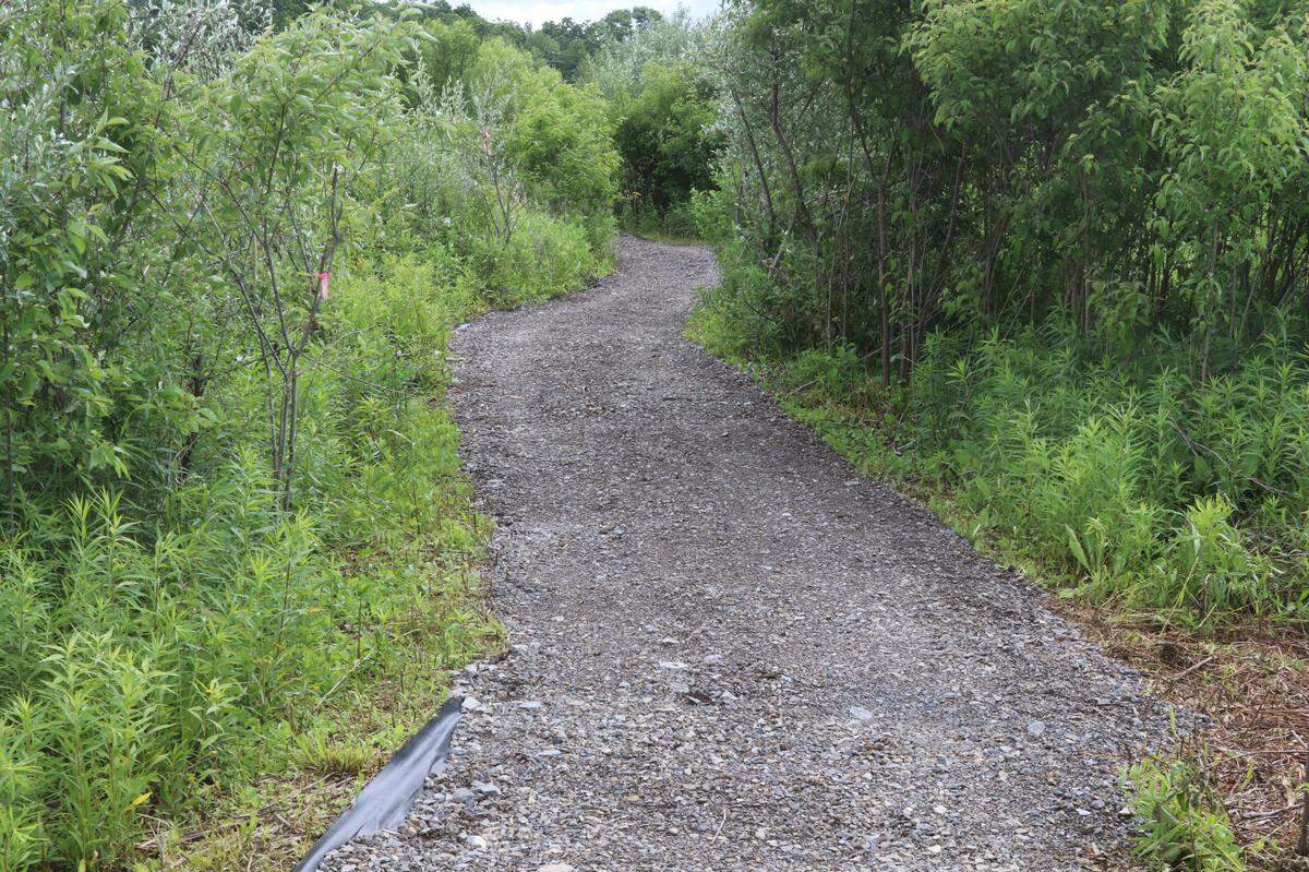 The new trail snakes northeast between the wetland and Alternate Route 220 at Miles Hollow and provides excellent opportunities to view wildlife.