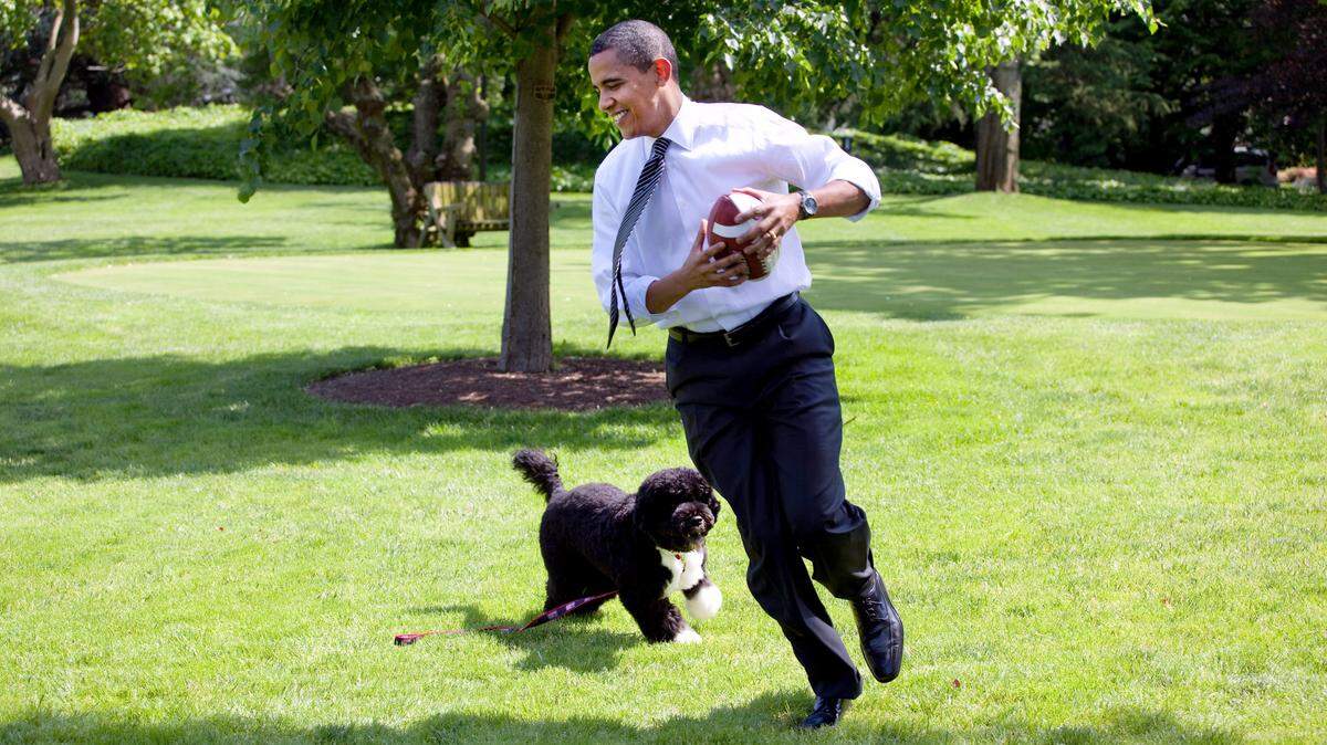 President Barack Obama and Bo, his Portuguese Water Dog, run with a football on the South Lawn of the White House in May 2009.
