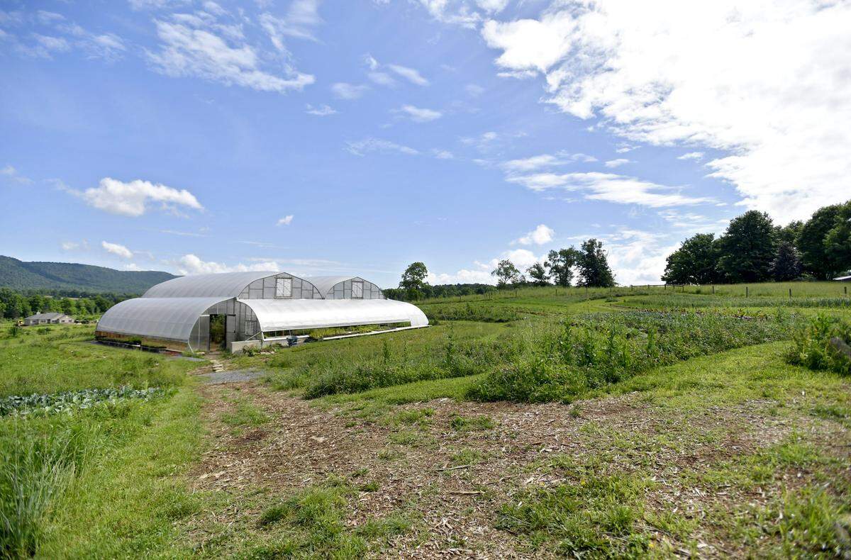 Repurposed materials were used to build the greenhouse on Windswept Farm, home of the future RE Farm Cafe.