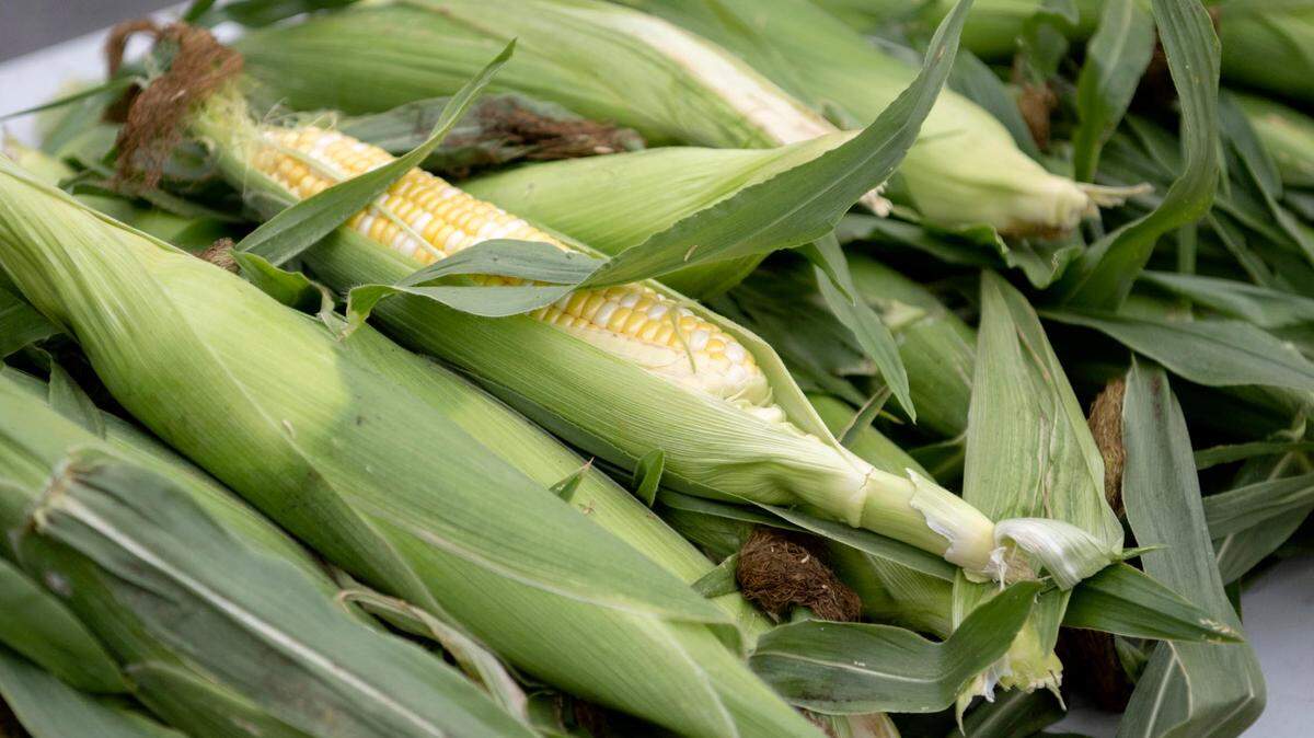 Centre Kitchen Collective aims to provide a number of resources for local food producers.