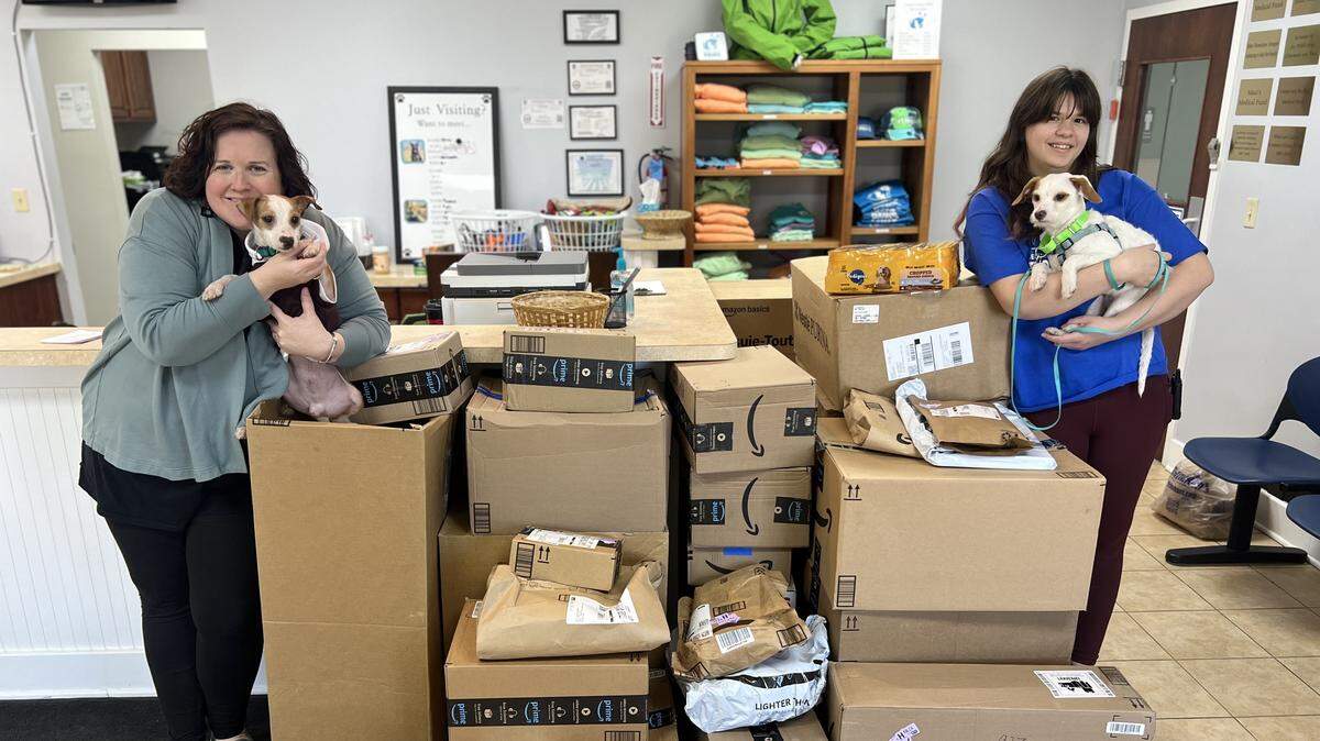 Centre County PAWS Executive Director Lisa Bahr holds a dog as she stands with donations that came in after 37 dogs were surrendered.