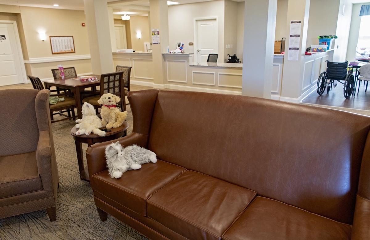 Open space in Harmony Square, where residents of memory care can enjoy a handful of activities, like playing with mechanical cats and dogs.