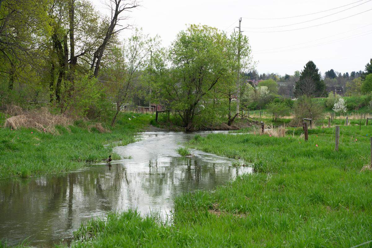 A portion of Slab Cabin Run in College Township.