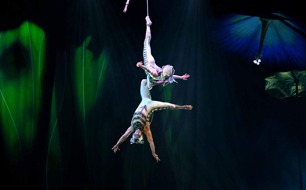 An acrobatic performance in the first half of the Cirque du Soleil show "Ovo" at the Bryce Jordan Center on Thursday, March 27, 2025.
