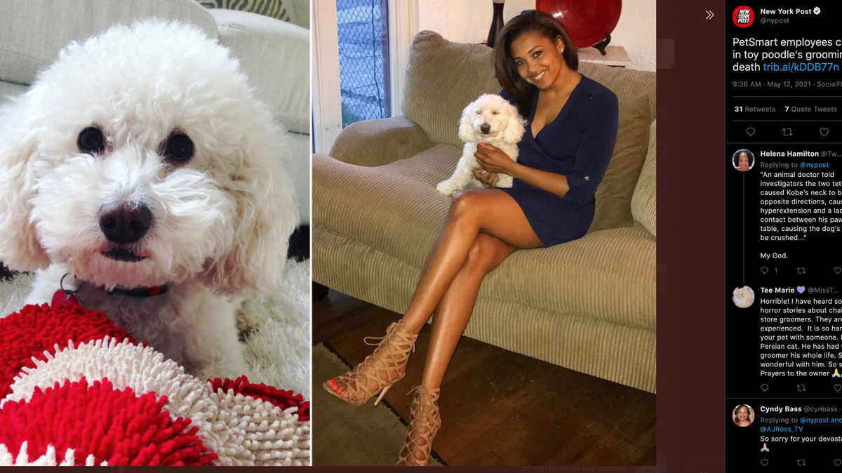 AJ Ross said her dog Kobe died during a routine nail clipping appointment at a PetSmart in Pittsburgh.