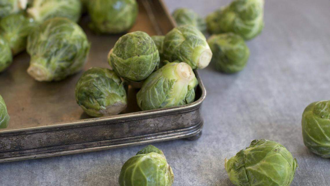 Ignore the bad reputation — why you should grow Brussels sprouts, and how to start