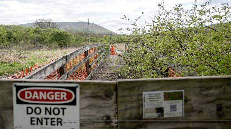 How should Millbrook Marsh’s boardwalk be replaced? Community input sought