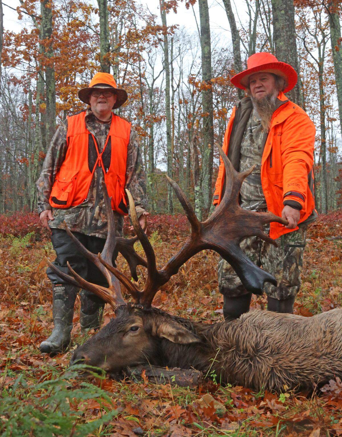 Dave Kurtz, left, and hunter Christ Yoder, both of Bellville, pose with Yoder’s unusual bull elk, which was harvested in Centre County.