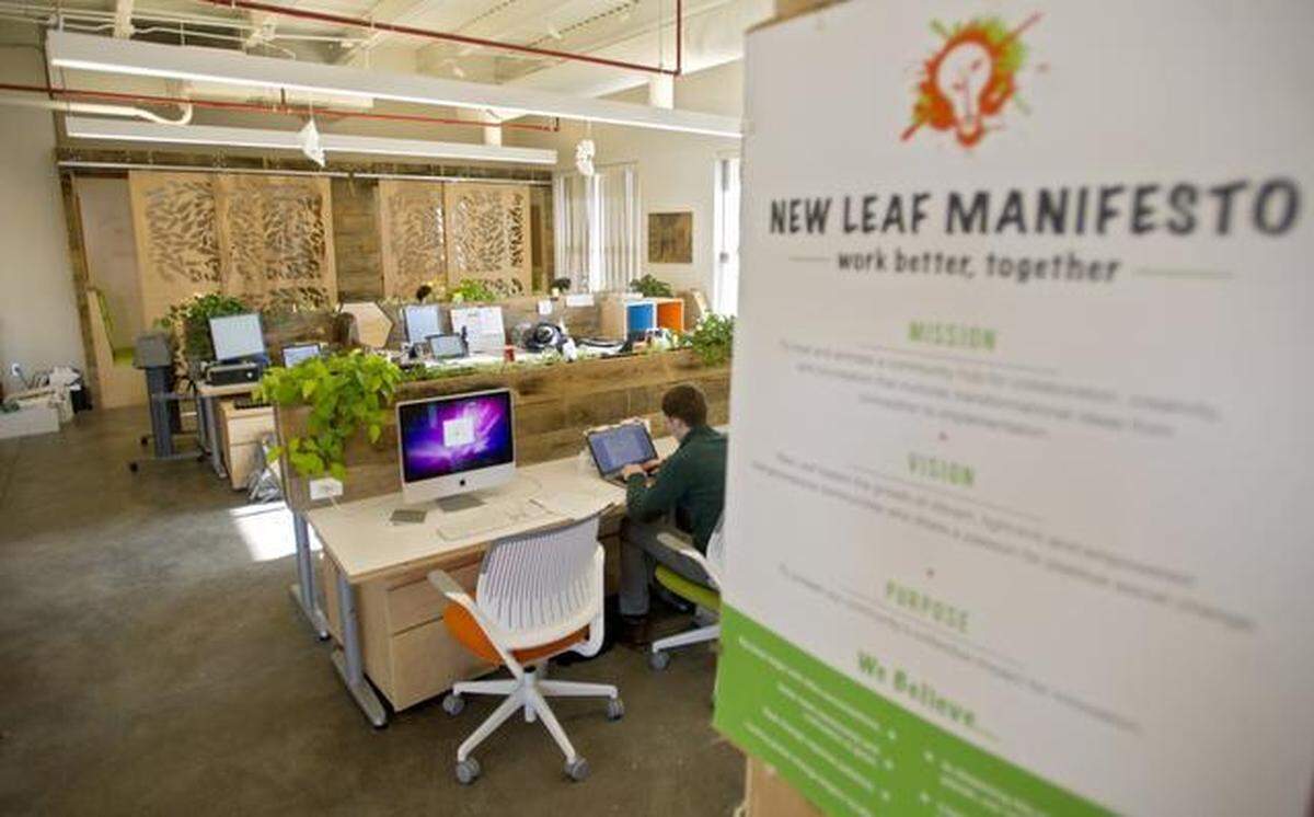 NewLeaf2