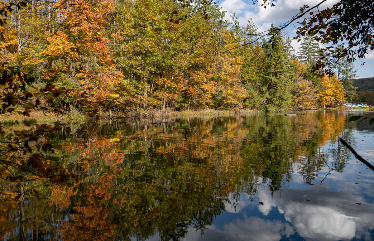 A clearing for fisherman off of Hobie’s Trail around Colyer Lake on Friday, Oct. 14, 2022.