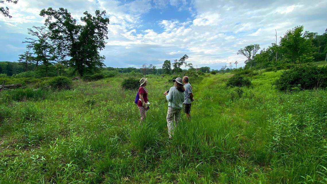 What to expect when you explore Dry Hollow, the newest addition to Rothrock State Forest