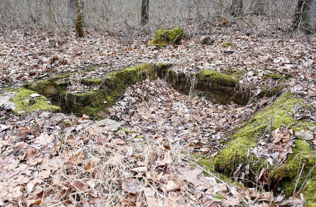 Moss and leaves cover the remains of a 1890s era building in Scotia on Friday, March 27, 2026. 