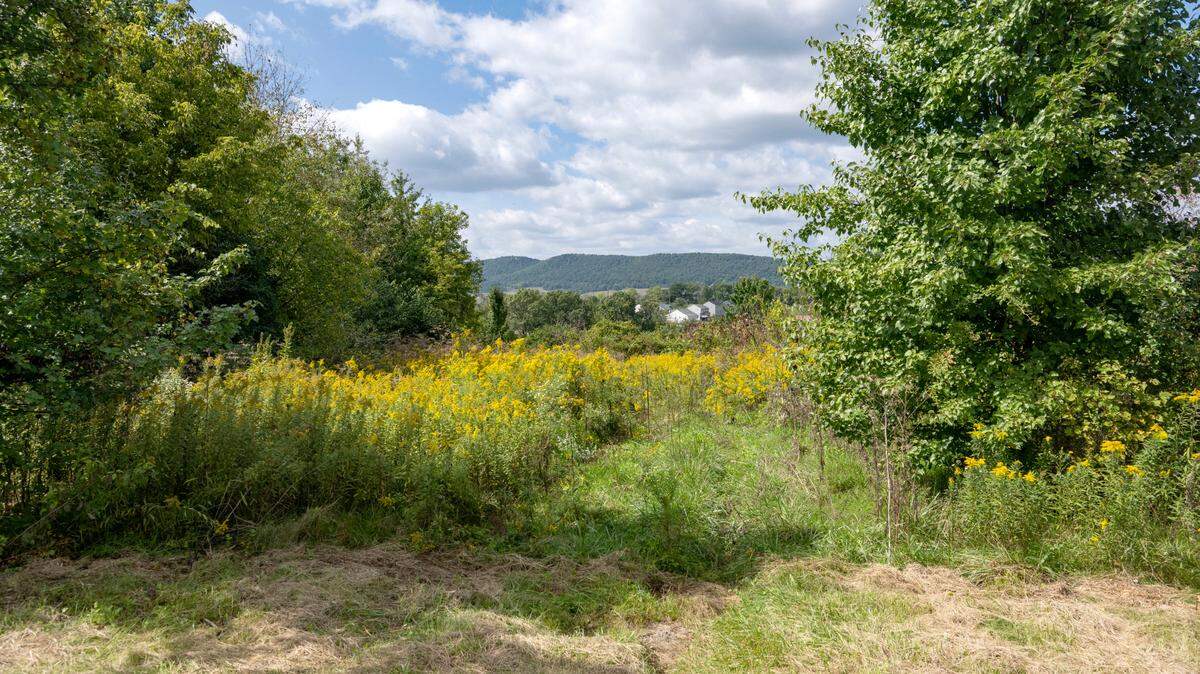 Plans are being proposed for a development at the end of High Tech Road in Benner Township.