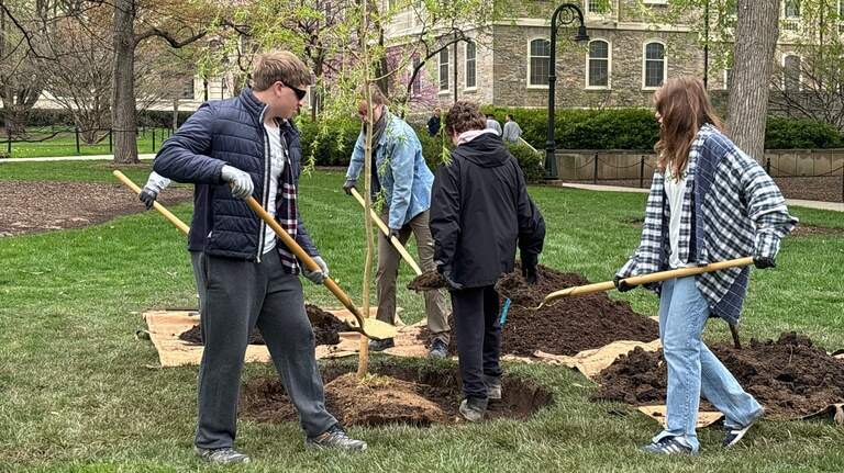 Old Willow is back on Penn State’s campus. Why the landmark is ‘truly something special’