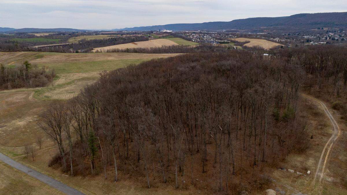 The land proposed for a warehouse off of Industrial Drive in Benner Township.