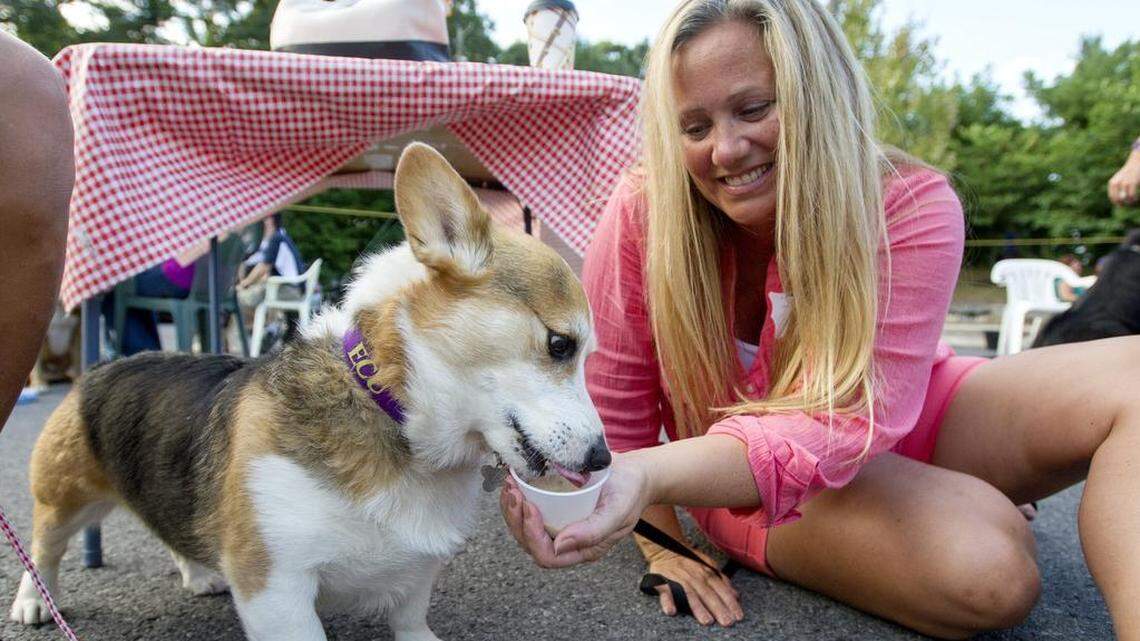 Don’t leave your pooch out of summer events. Wiscoy’s ice cream socials for dogs start Friday