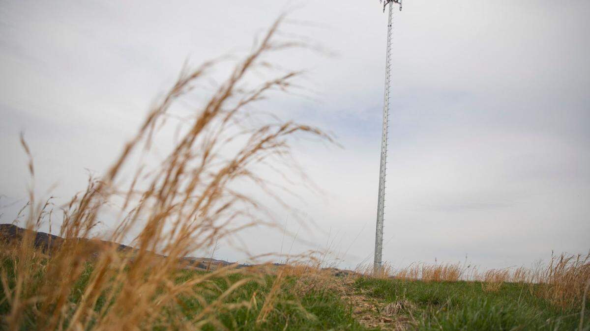 A cell phone tower in a rural Pennsylvania area.