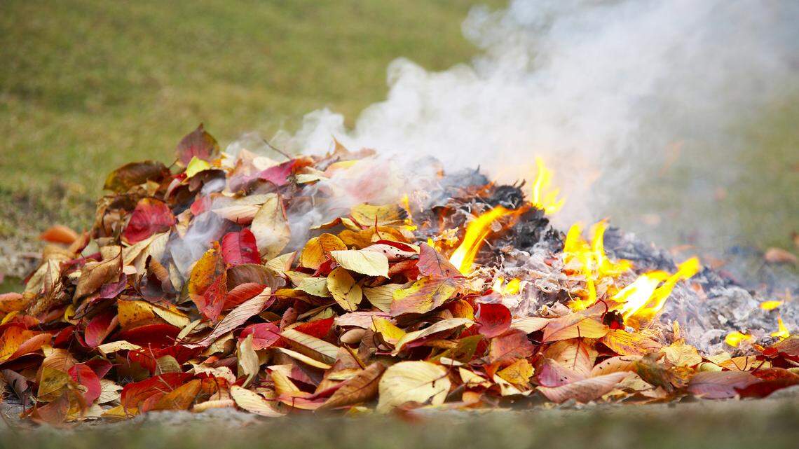Can you burn leaves in your Pennsylvania yard this fall? See what state, local laws say
