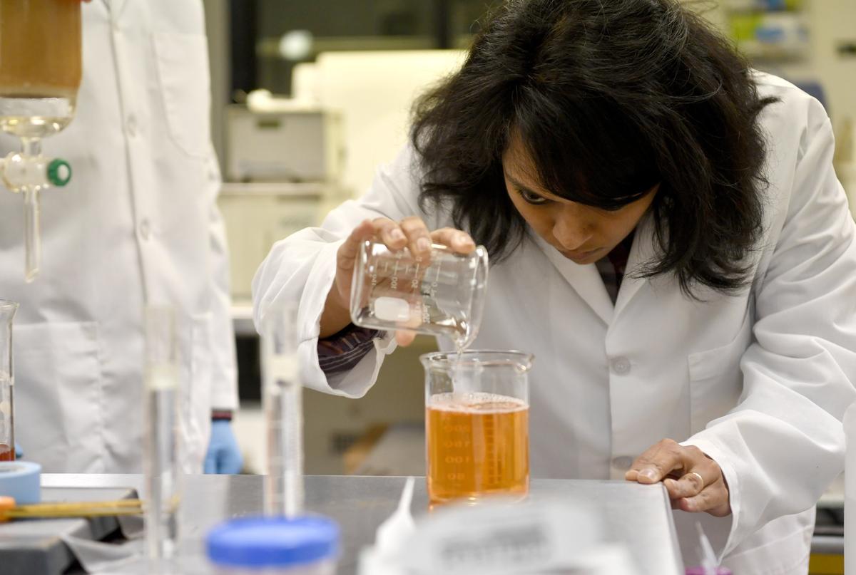 Persea Naturals product developer Shravya Mukka works with the color spectrum of AvoColor in the company’s lab on Thursday.
