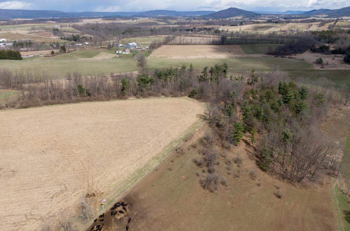 One of the proposed State College Area Connector routes would cut through the fields of the the Darlington family’s 250-acre farm. The road would go through the cornfield to the right of the blue barn.