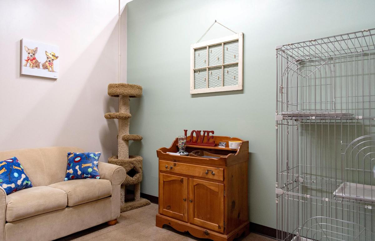 A room at The Pet Pub will be available to help adopt pets.