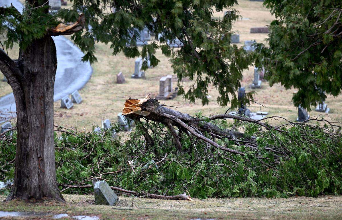 Branches down in Union Cemetery in Bellefonte after a severe storm on Sunday, March 16, 2025.